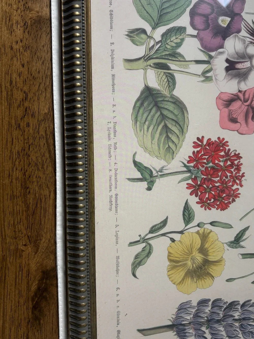 Floral Botanical Print Wall Art in Multi-Color